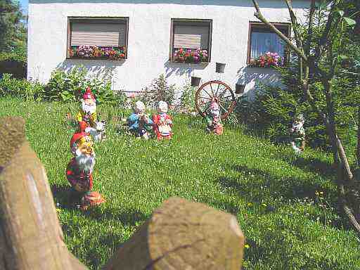 Blick über den Zaun